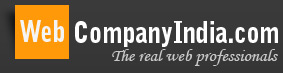 Web company India
